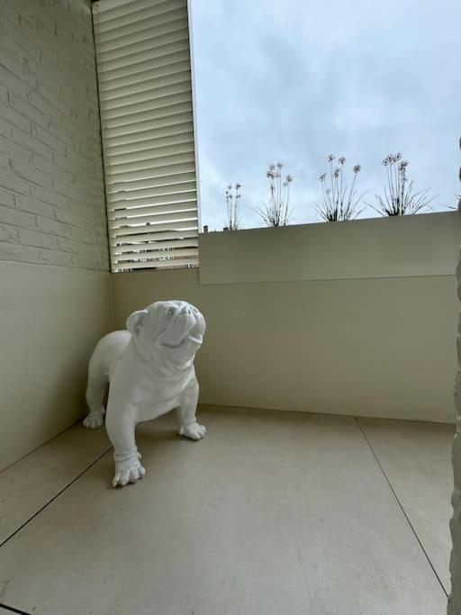 Appartement Neuf En Plein Centre Namur Luaran gambar